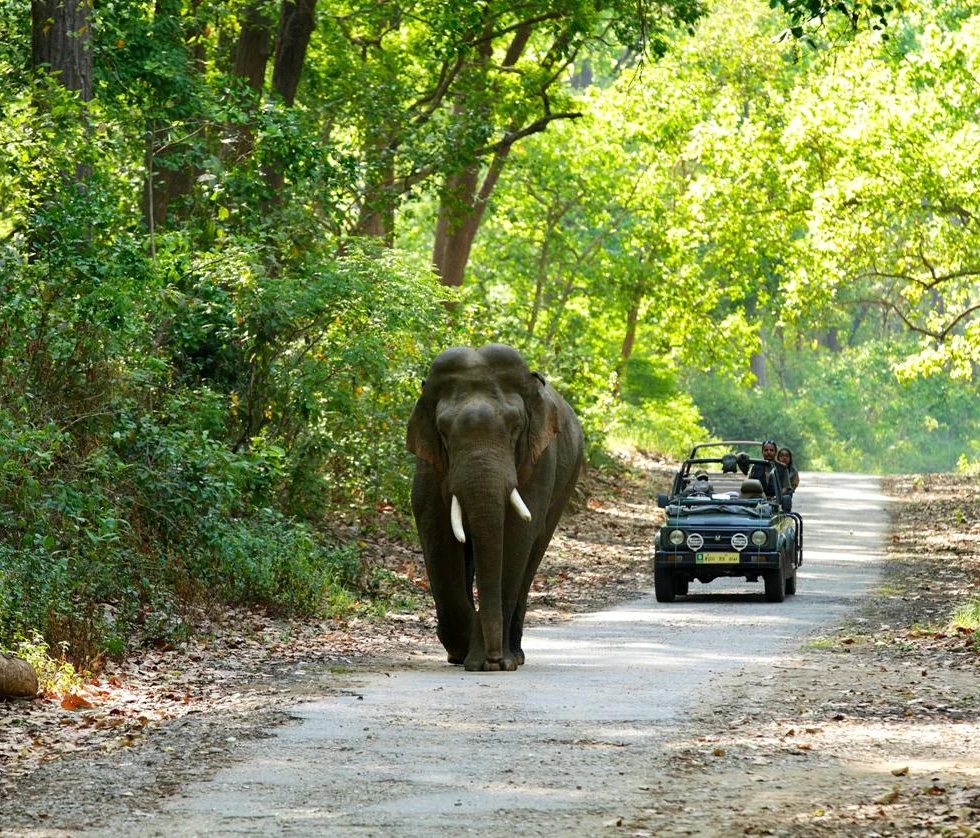 Jim Corbett