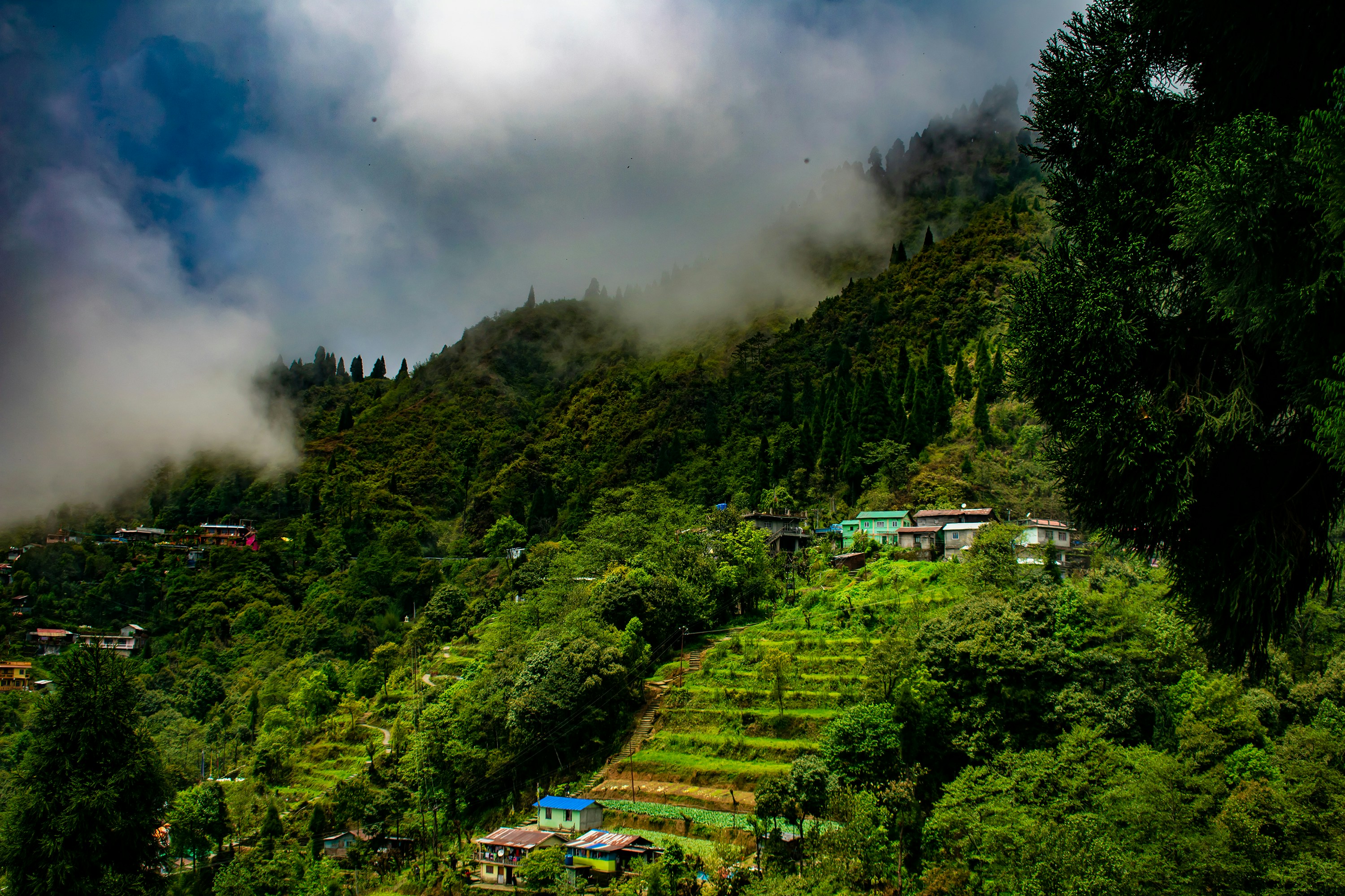 Sikkim & Darjeeling Himalayan Explorer
