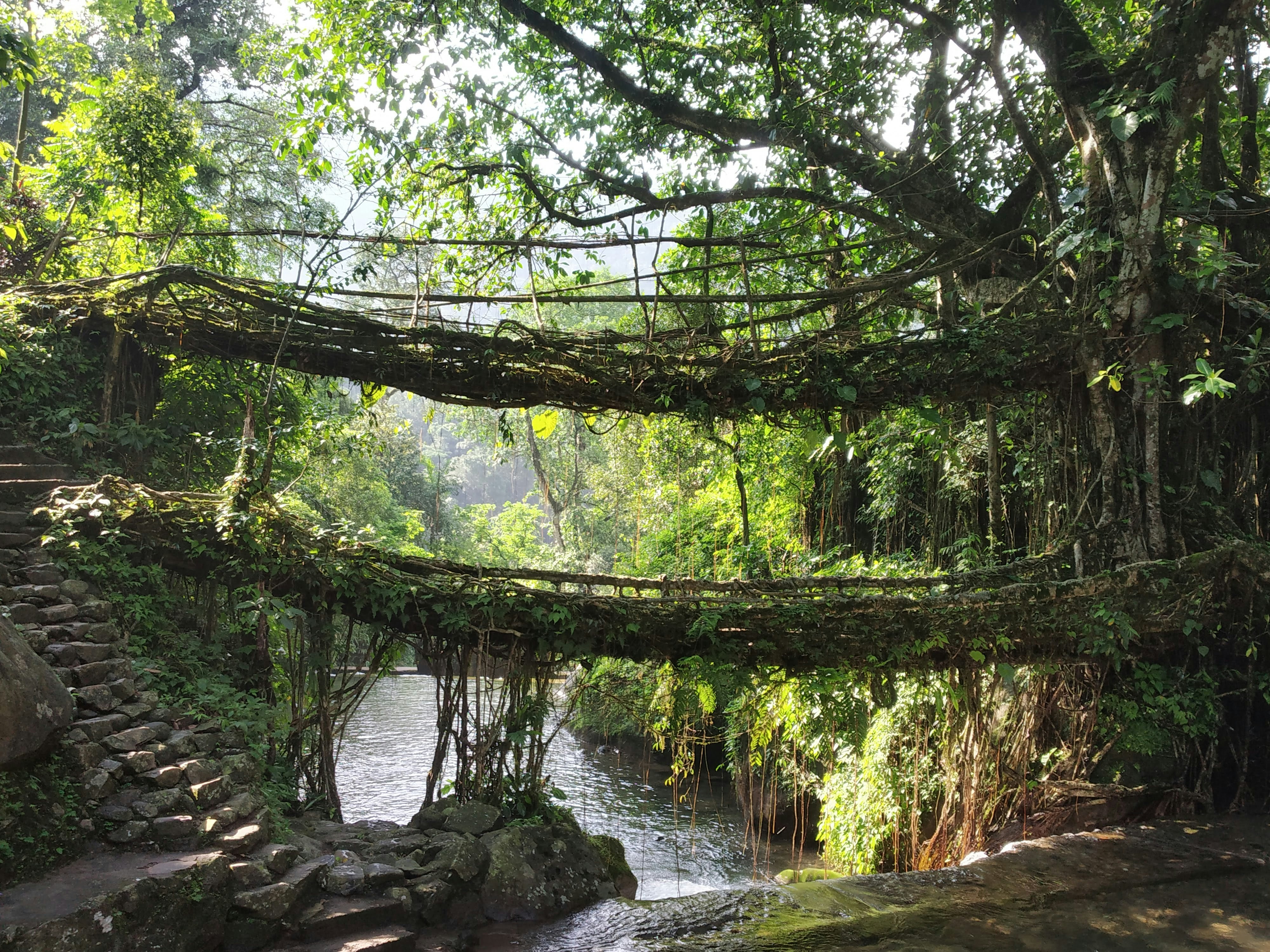 Meghalaya Living Roots & Culture